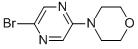 4-(5-BROMO-2-PYRAZINYL)MORPHOLINE CAS#: 955050-08-5