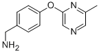 4-[(6-Methylpyrazin-2-yl)oxy]benzylamine 97% CAS#: 926921-67-7
