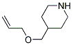 4-[(ALLYLOXY)METHYL]PIPERIDINE CAS#: 946725-17-3