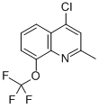 4-CHLORO-2-METHYL-8-TRIFLUOROMETHOXYQUINOLINE CAS#: 927800-56-4