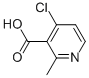 4-CHLORO-2-METHYL-NICOTINIC ACID CAS#: 914219-06-0