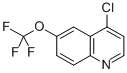 4-CHLORO-6-TRIFLUOROMETHOXYQUINOLINE CAS#: 927800-55-3
