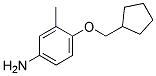 4-(CYCLOPENTYLMETHOXY)-3-METHYLANILINE CAS#: 946741-59-9