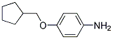 4-(CYCLOPENTYLMETHOXY)ANILINE CAS#: 946729-84-6