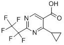 4-CYCLOPROPYL--2-PENTAFLUORO ETHYL-PYRIMIDINE-5-CARBOXYLIC ACID CAS#: 914201-14-2
