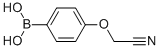 4-Cyanomethoxyphenylboronic acid CAS#: 947533-23-5