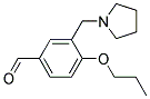 4-PROPOXY-3-PYRROLIDIN-1-YLMETHYL-BENZALDEHYDE CAS#: 917561-88-7