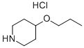 4-PROPOXYPIPERIDINE HYDROCHLORIDE CAS#: 903891-77-0