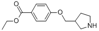 4-(Pyrrolidin-3-ylmethoxy)-benzoic acid ethyl ester CAS#: 908288-80-2