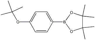 4-TERT-BUTOXYBENZENEBORONIC ACID PINACOLESTER CAS#: 938063-51-5