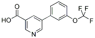 5-[3-(TRIFLUOROMETHOXY)PHENYL]NICOTINIC ACID CAS#: 924854-23-9