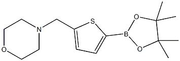 5-(4-Morpholinylmethyl)thiophene-2-boronic acid pinacol ester, 97% CAS#: 950603-39-1