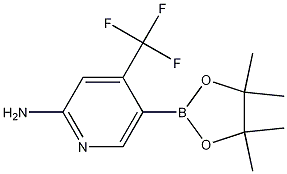 5-(4,4,5,5-tetramethyl-1,3,2-dioxaborolan-2-yl)-4-(trifluoromethyl)pyridin-2-amine CAS#: 944401-57-4