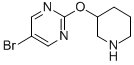 5-BROMO-2-(PIPERIDIN-3-YLOXY)PYRIMIDINE CAS#: 914347-73-2