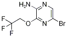 5-BroMo-3-(2,2,2-trifluoroethoxy)pyrazin-2-aMine CAS#: 947249-22-1