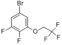 5-Bromo-1,2-difluoro-3-(2,2,2-trifluoro-ethoxy)-benzene CAS#: 947534-36-3