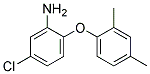 5-CHLORO-2-(2,4-DIMETHYLPHENOXY)ANILINE CAS#: 937606-29-6
