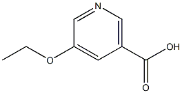 5-Ethoxynicotinic acid CAS#: 98491-82-8