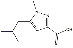 5-Isobutyl-1-Methyl-1H-pyrazole-3-carboxylic acid CAS#: 912451-06-0
