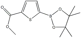 5-METHOXYCARBONYLTHIOPHENE-2-BORONIC ACID PINACOL ESTER CAS#: 916138-13-1