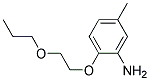 5-METHYL-2-(2-PROPOXYETHOXY)ANILINE CAS#: 946715-69-1