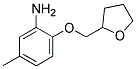 5-METHYL-2-(TETRAHYDRO-2-FURANYLMETHOXY)ANILINE CAS#: 946728-26-3