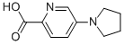 5-PYRROLIDIN-1-YLPYRIDINE-2-CARBOXYLIC ACID CAS#: 950603-19-7