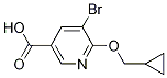 5-bromo-6-(cyclopropylmethoxy)nicotinic acid CAS#: 912454-38-7