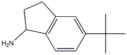 5-tert-butyl-2,3-dihydro-1H-inden-1-aMine CAS#: 935680-90-3