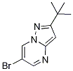6-Bromo-2-tert-butylpyrazolo[1,5-a]pyrimidine CAS#: 916256-69-4