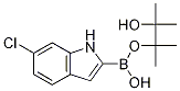 6-Chloroindole-2-boronic acid, pinacol ester CAS#: 912331-84-1