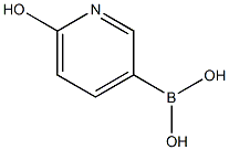 6-HYDROXY-3-PYRIDINEBORONIC ACID CAS#: 903899-13-8
