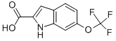 6-(TRIFLUOROMETHOXY)-1H-INDOLE-2-CARBOXYLIC ACID CAS#: 923259-70-5