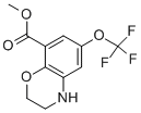 6-Trifluoromethoxy-3,4-dihydro-2Hbenzo[1,4]oxazine-8-carboxylic acid methyl ester CAS#: 935534-19-3