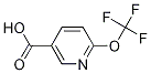 6-(trifluoroMethoxy)nicotinic acid CAS#: 940895-85-2