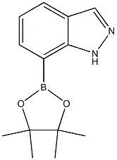 7-(4,4,5,5-TETRAMETHYL-[1,3,2]DIOXABOROLAN-2-YL)-1H-INDAZOLE CAS#: 915411-02-8