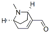 8-Azabicyclo[3.2.1]oct-2-ene-2-carboxaldehyde, 8-methyl-, (1R,5S)- (9CI) CAS#: 99213-86-2