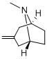 8-Methyl-3-methylene-8-aza-bicyclo[3.2.1]octane CAS#: 99838-33-2
