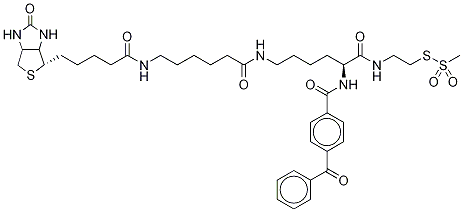 2-[Nα-Benzoylbenzoicamido-N6-(6-biotinamidocaproyl)-L-lysinylamido]ethyl Methanethiosulfonate CAS#: 910036-44-1