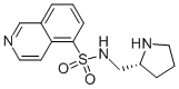 (R)-Isoquinoline-5-sulfonic acid (pyrrolidin-2-ylmethyl)-amide CAS#: 936233-17-9