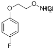 O-[2-(4-Fluoro-phenoxy)-ethyl]-hydroxylamine hydrochloride CAS#: 936250-29-2