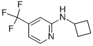 Cyclobutyl-(4-trifluoromethyl-pyridin-2-yl)-amine CAS#: 944580-79-4