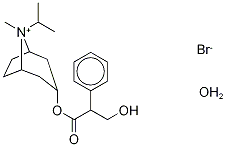 Atropine Isopropyl BroMide CAS#: 922491-06-3