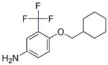 BenzenaMine, 4-(cyclohexylMethoxy)-3-(trifluoroMethyl)- CAS#: 946775-52-6