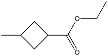 Cyclobutanecarboxylic acid, 3-methyl-, ethyl ester (6CI) CAS#: 99769-39-8