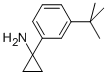 Cyclopropanamine, 1-[3-(1,1-dimethylethyl)phenyl]- CAS#: 900802-72-4