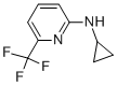 Cyclopropyl-(6-trifluoromethyl-pyridin-2-yl)-amine CAS#: 944580-74-9