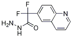 Difluoro-quinolin-6-yl-acetic acid hydrazide CAS#: 943541-39-7