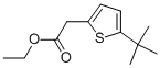 ETHYL 2-(5-TERT-BUTYLTHIOPHEN-2-YL)ACETATE CAS#: 943756-20-5