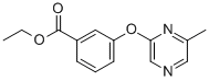 Ethyl 3-[(6-methylpyrazin-2-yl)oxy]benzoate CAS#: 906352-99-6